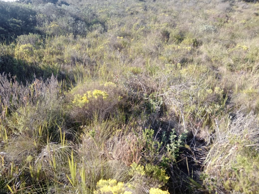 Commercial Property for Sale in Paradise Beach Eastern Cape